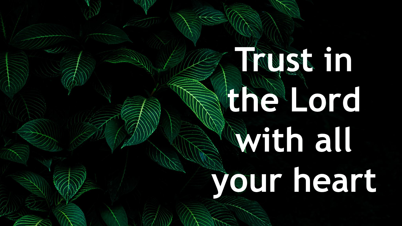 002 Trust in the Lord